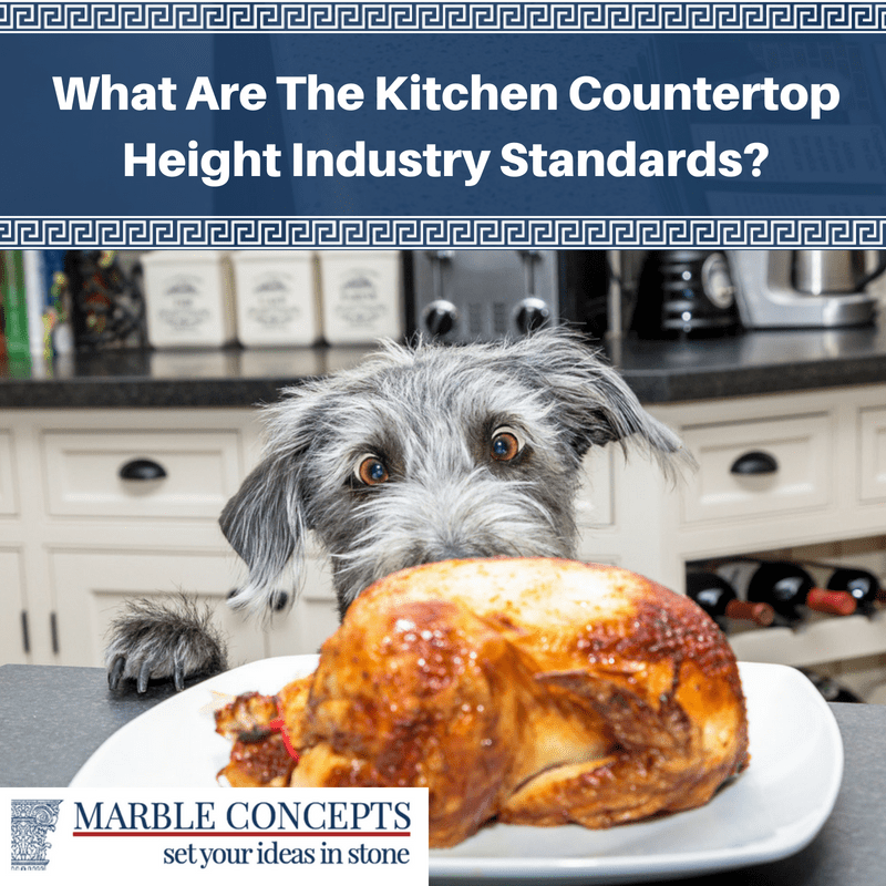 What Are The Kitchen Countertop Height Industry Standards?