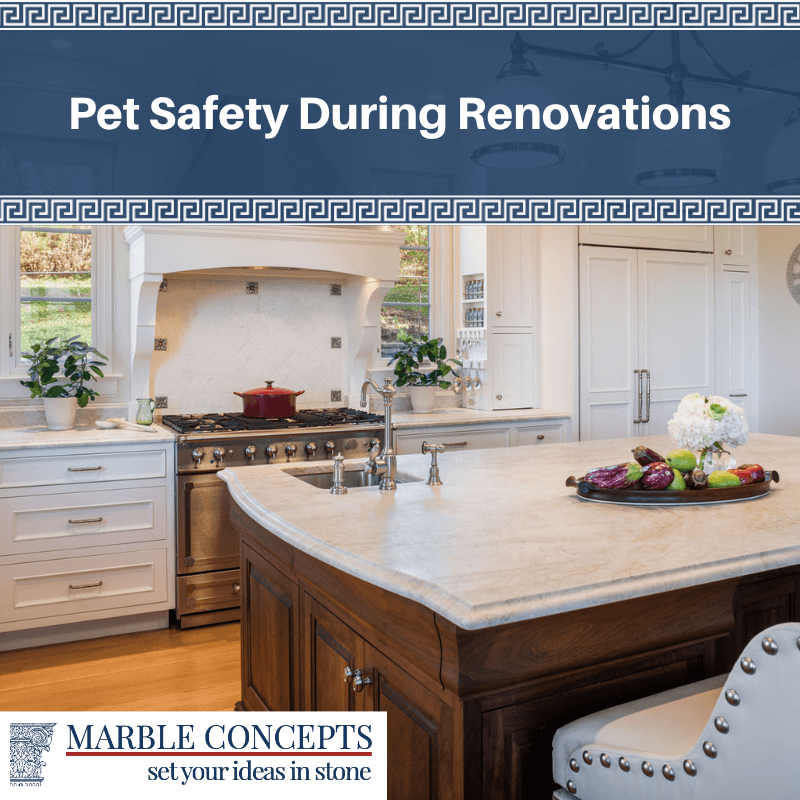 Pet Safety During Renovations